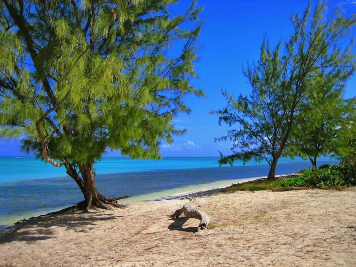 Suite 1, Blue Pavilion - Steps To Beach - Car, Value, Service West Bay Lejlighed