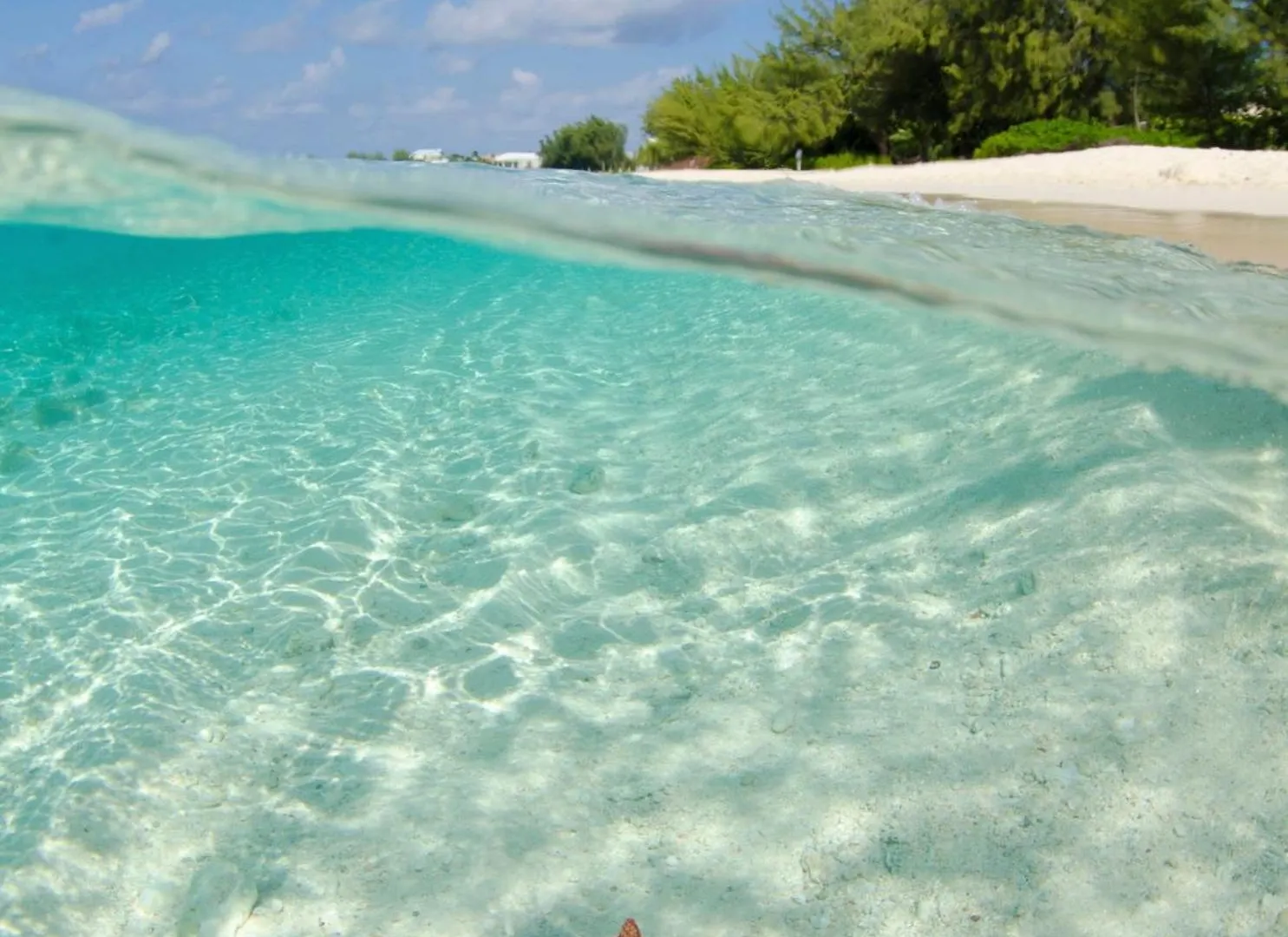 Lejlighed Suite 1, Blue Pavilion - Steps To Beach - Car, Value, Service West Bay Cayman-øerne